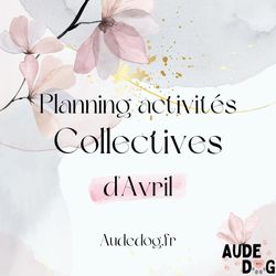 Planning des activités collectives d'Avril