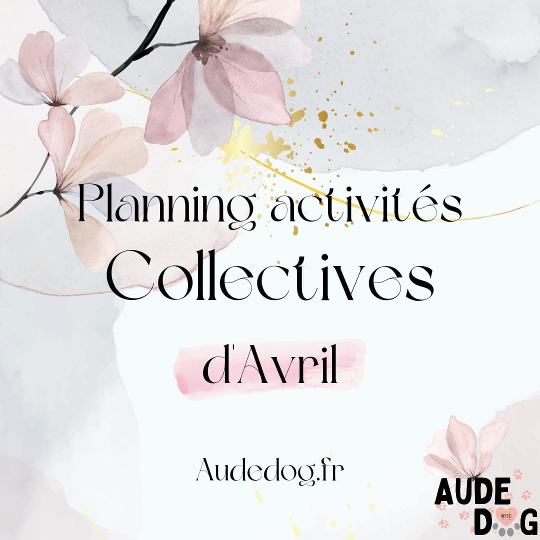 Planning des activités collectives d'Avril