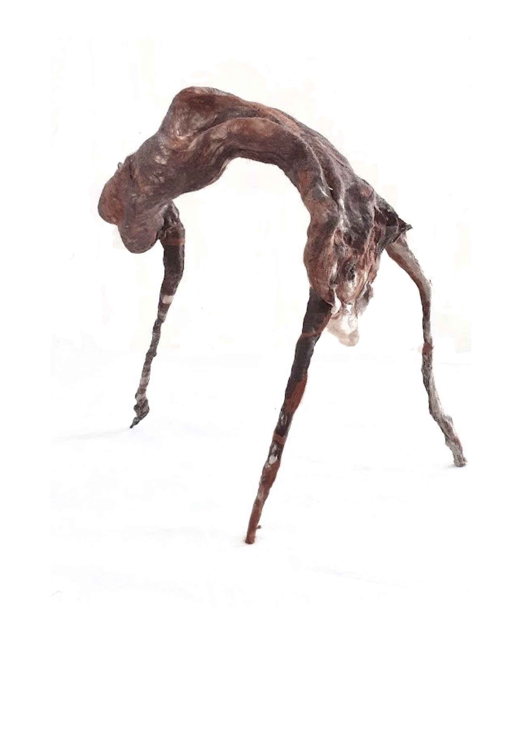 Spitzen
