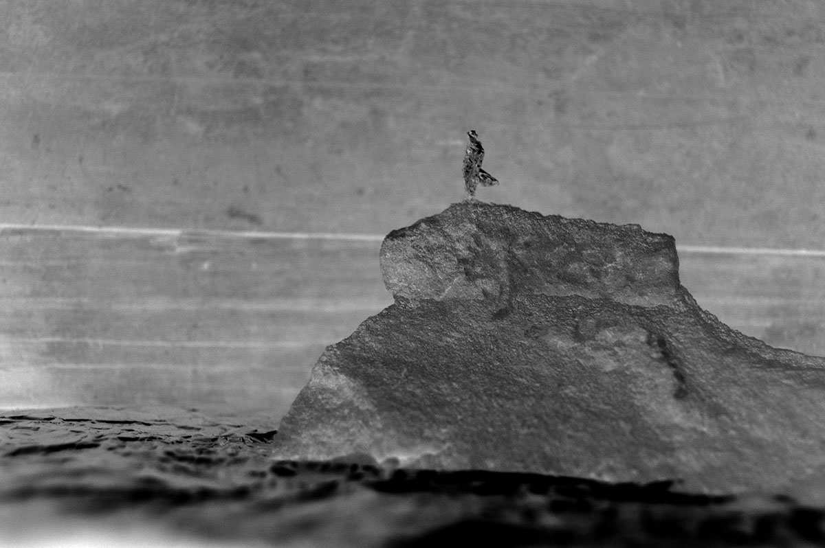 2021 sur la mer web presences