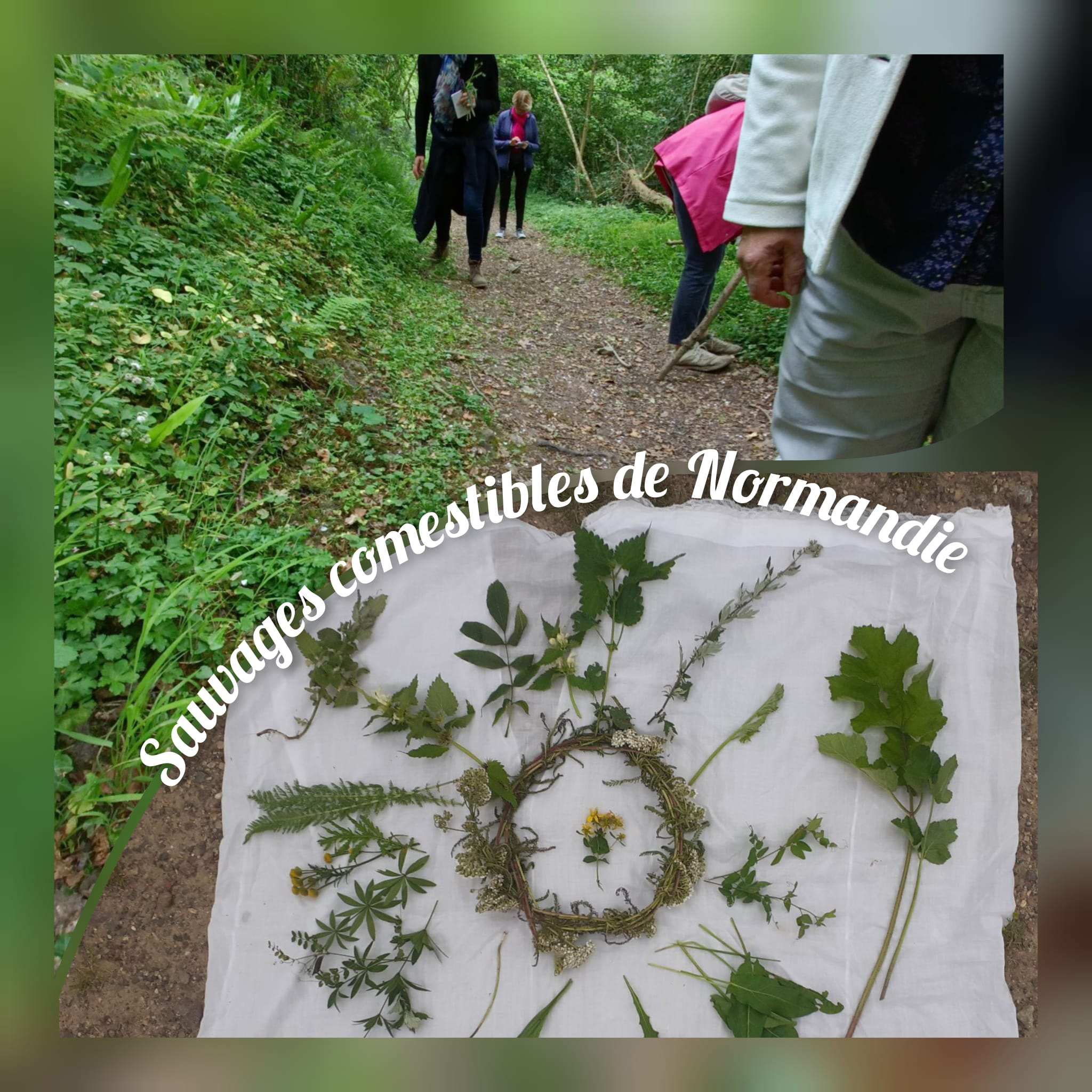 WhatsApp-Image-2024-03-25-a-18-51-12 3e65f1f3