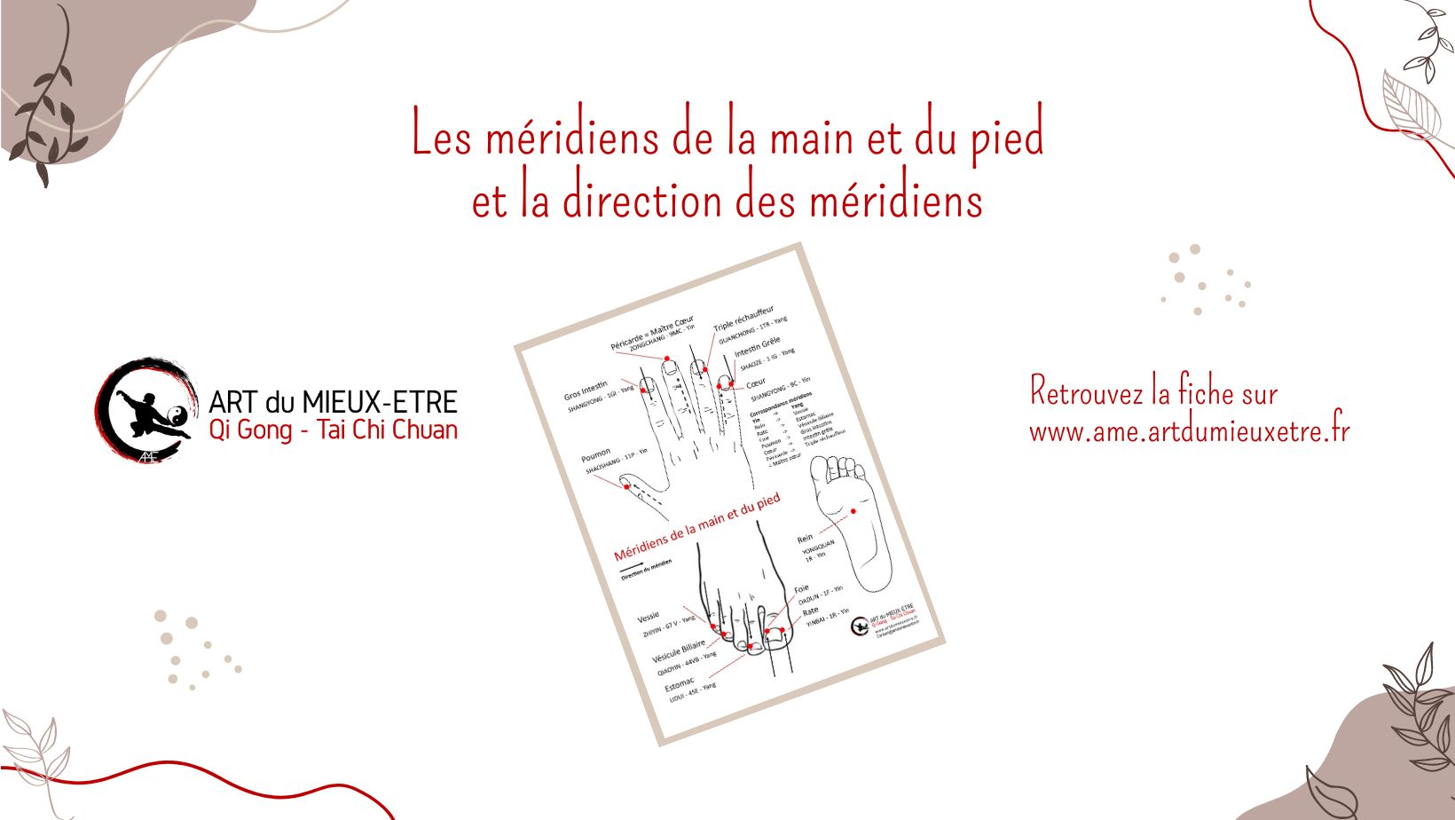 Méridiens de la main et du pied et direction des 12 méridiens principaux