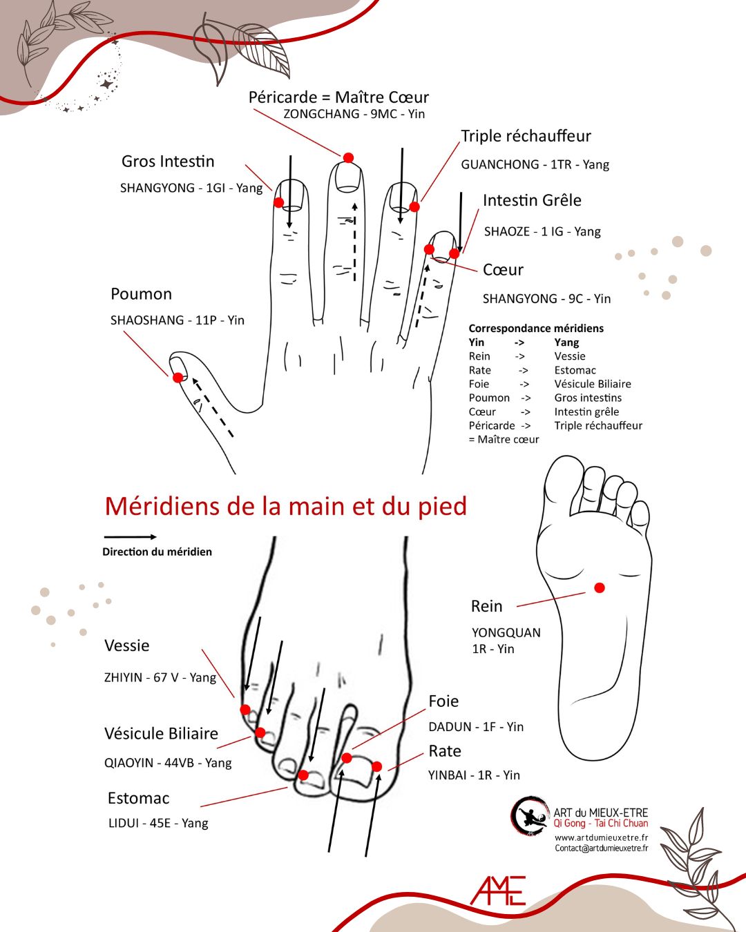 Meridien de la main et du pied qi gong artdumieuxetre bourgoin 2