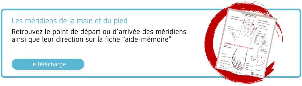 Meridien de la main et du pied qi gong et tai chi fiche energetique artdumieuxetre ame 2024
