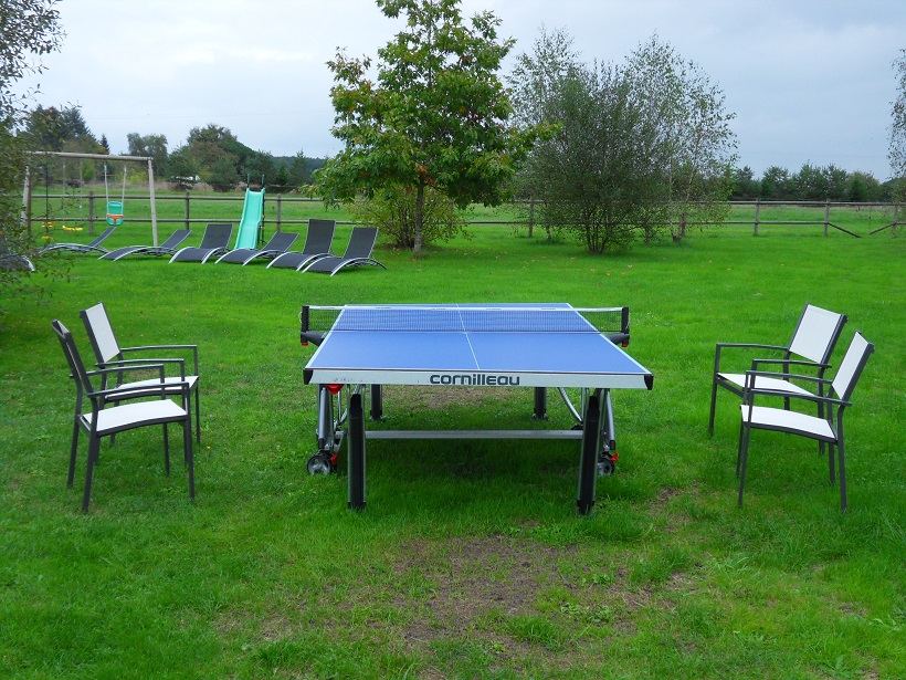 Ping pong