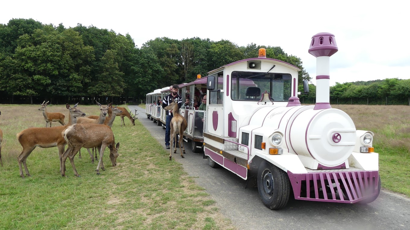 Safari-train