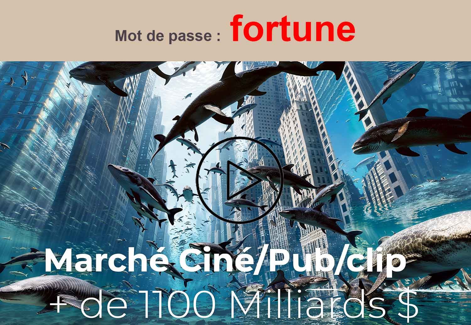 Couv-pour-acceder-a-la-video low