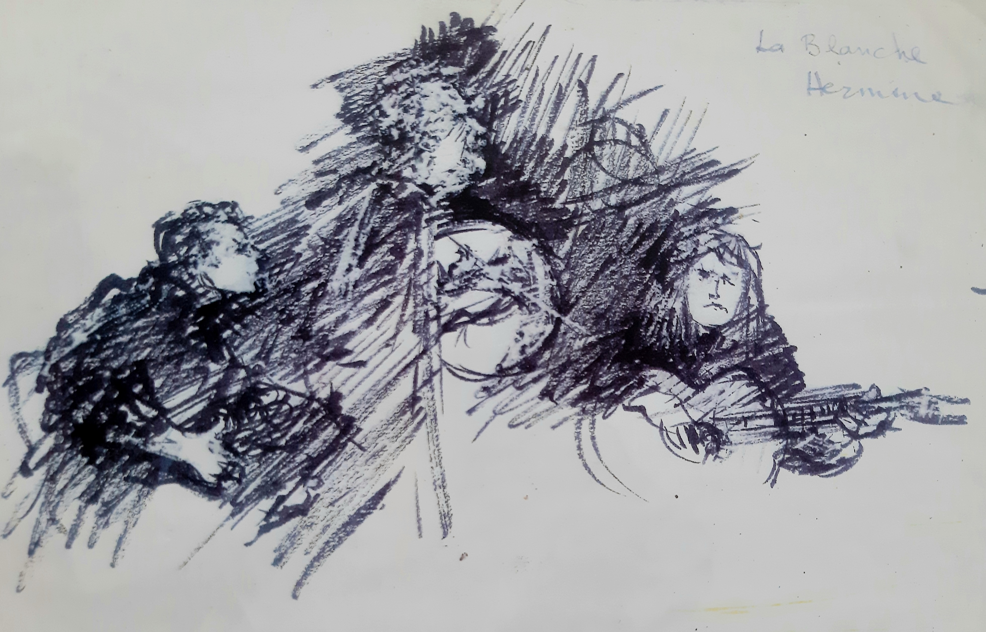 Mu aux 14 