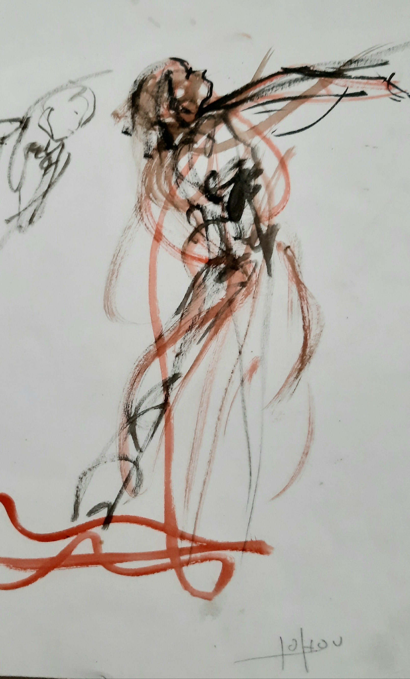 D aux 23 