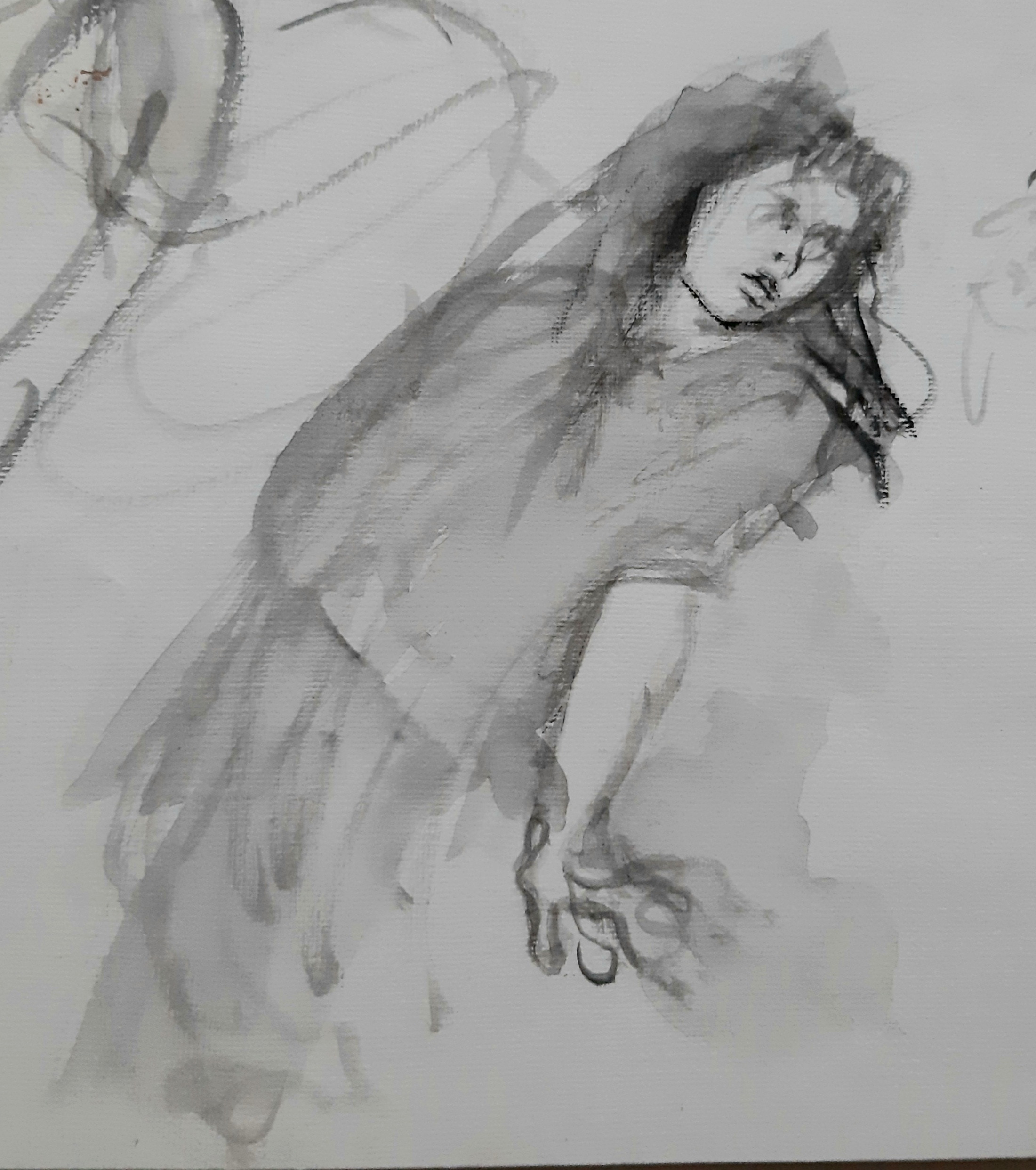 D aux 11 
