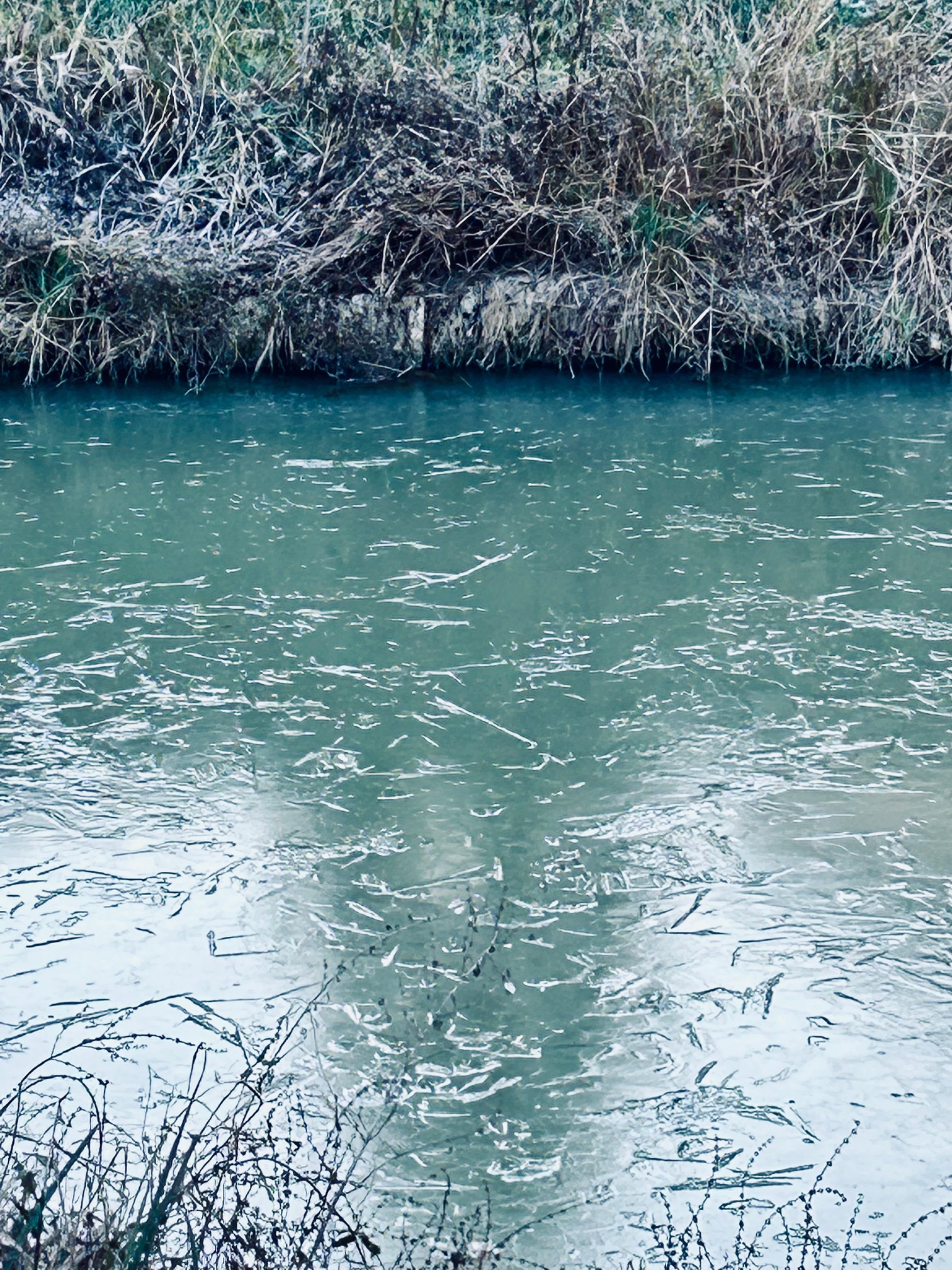 Canal gele
