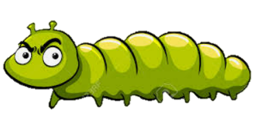 Chenille-sans-fond
