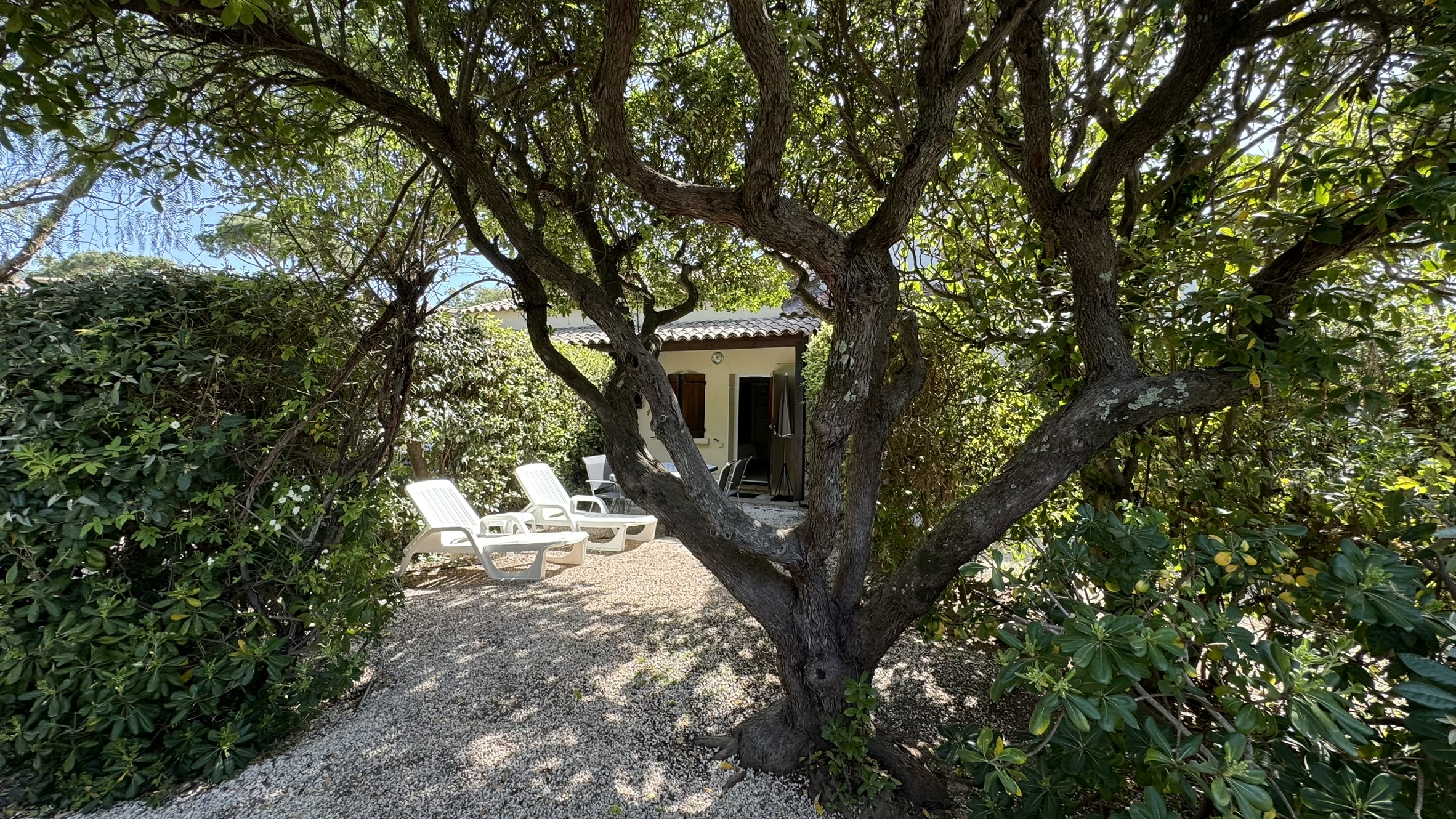 Img 0606