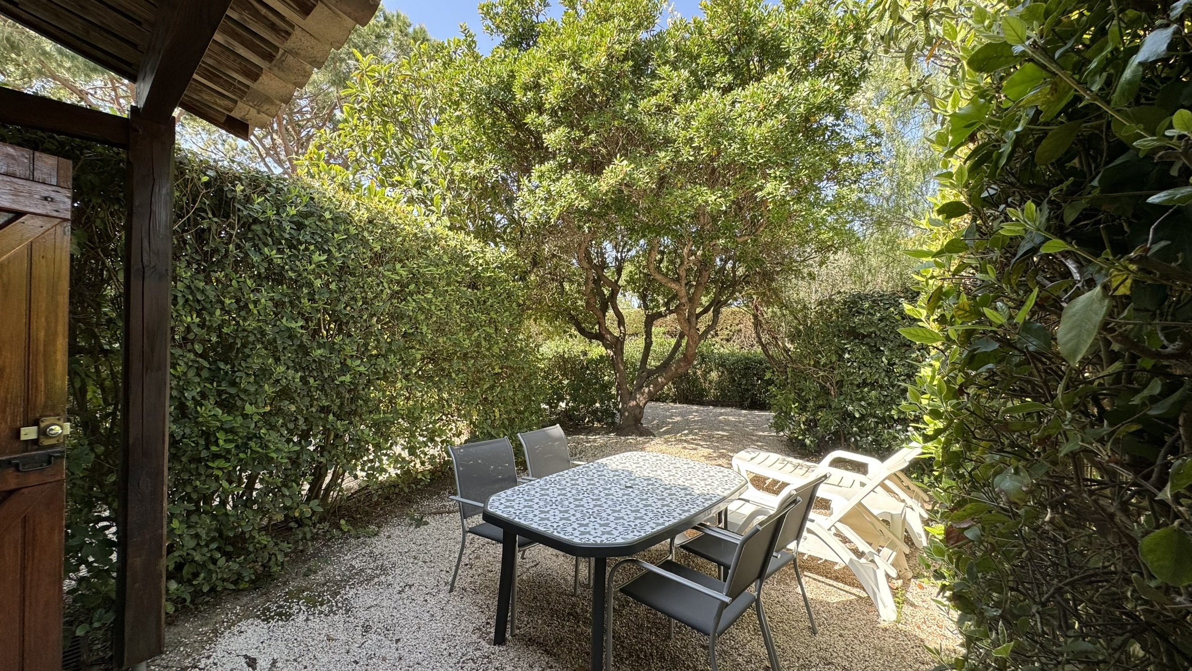 Img 0605