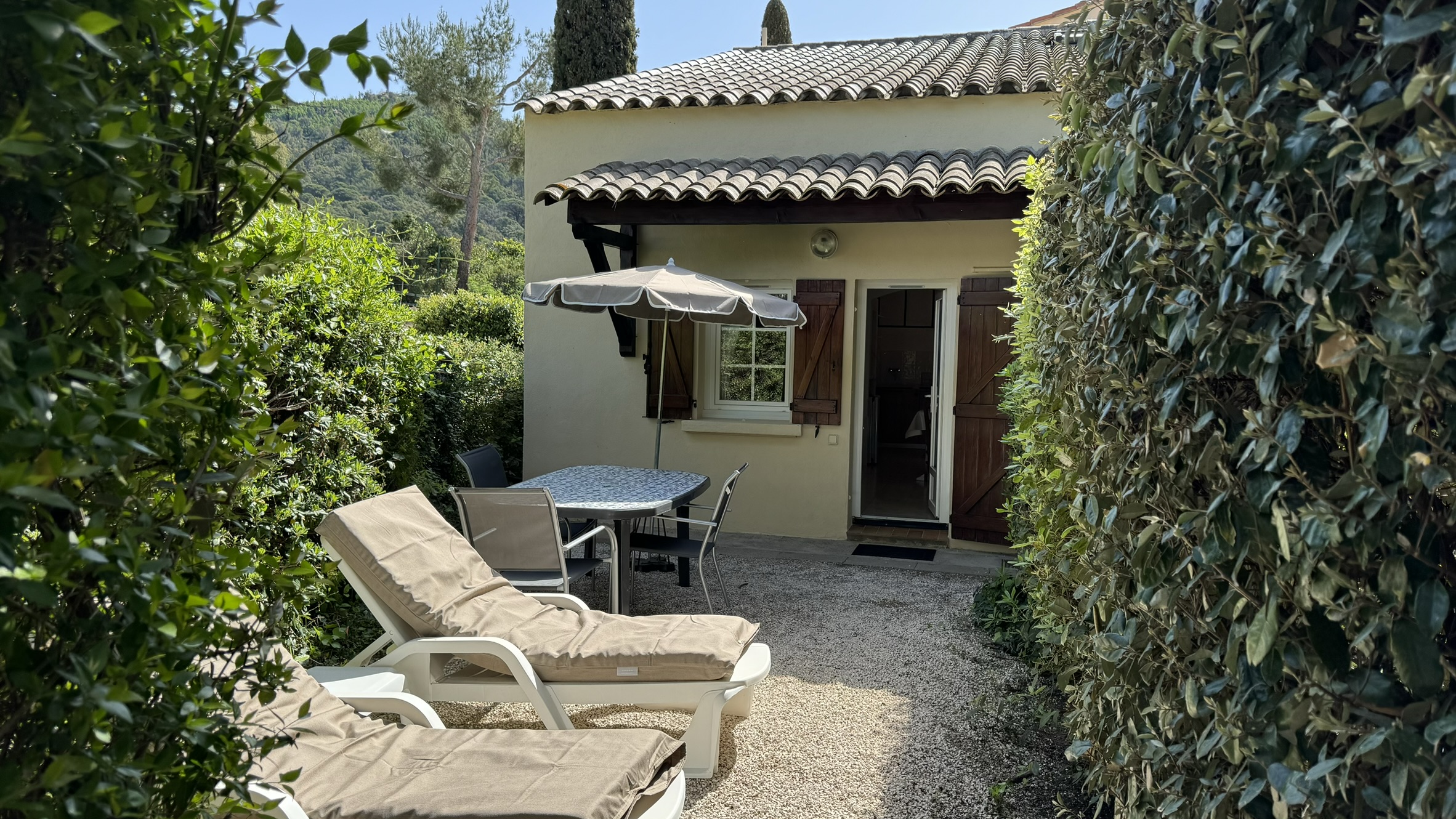 Img 0603