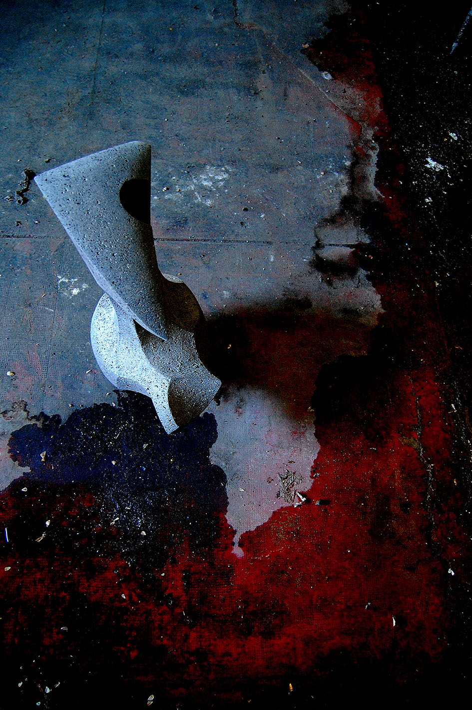 2009 terre rabaste nature morte