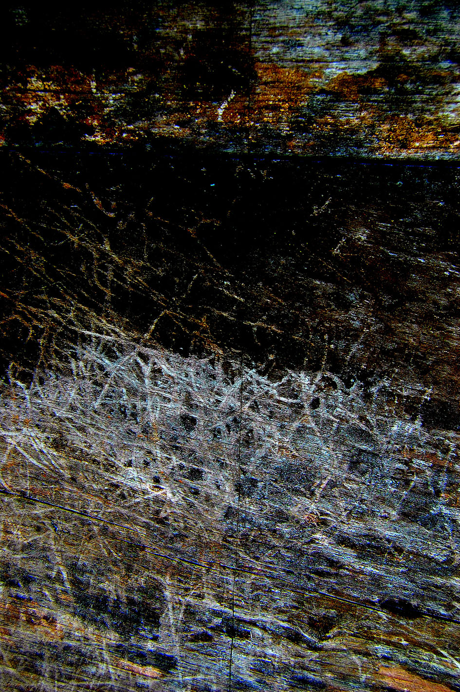 2009 tempete nature morte