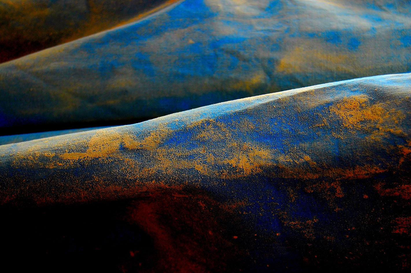 2009 etendue nature morte