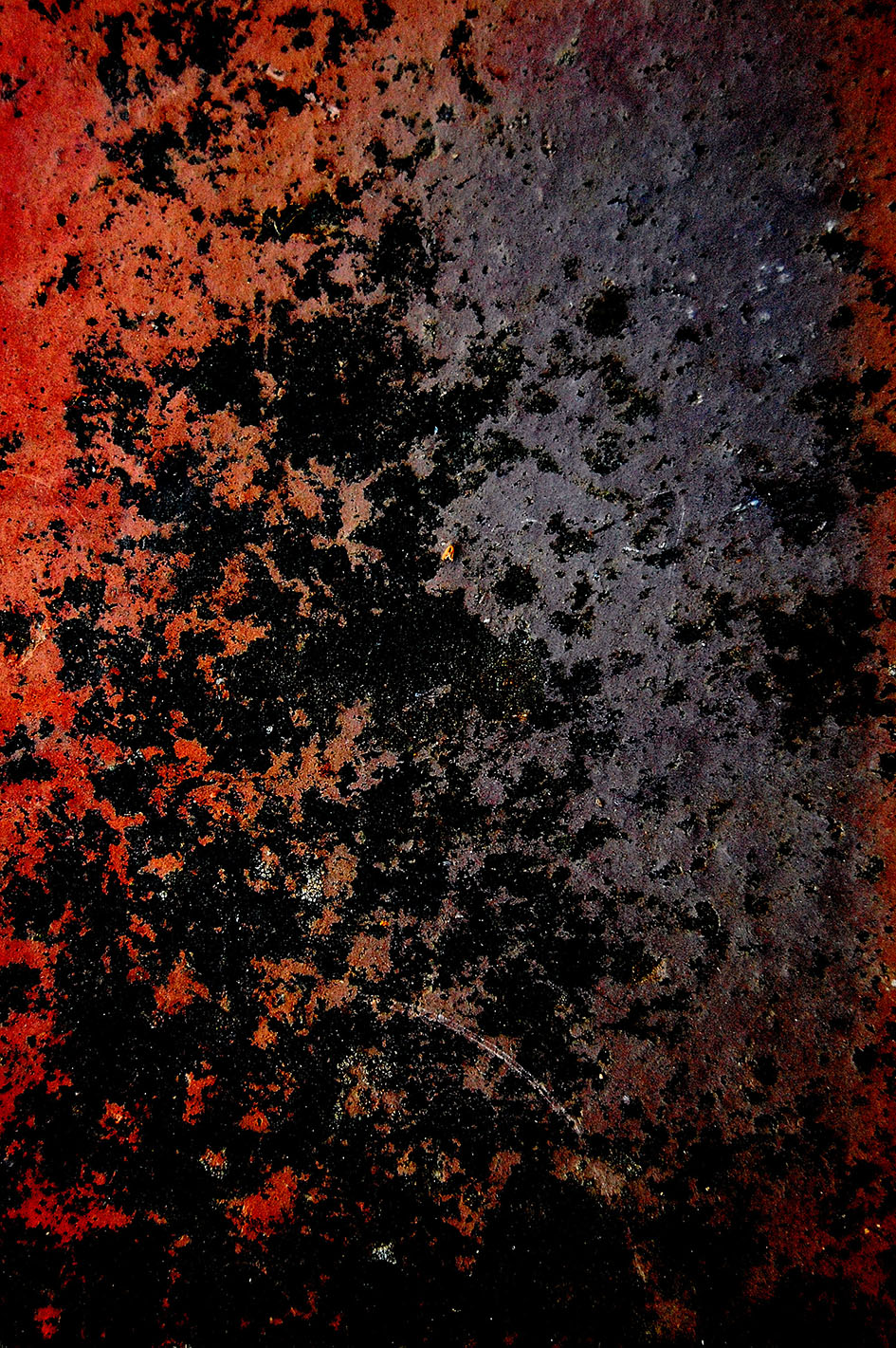 2009 chez deville i nature morte