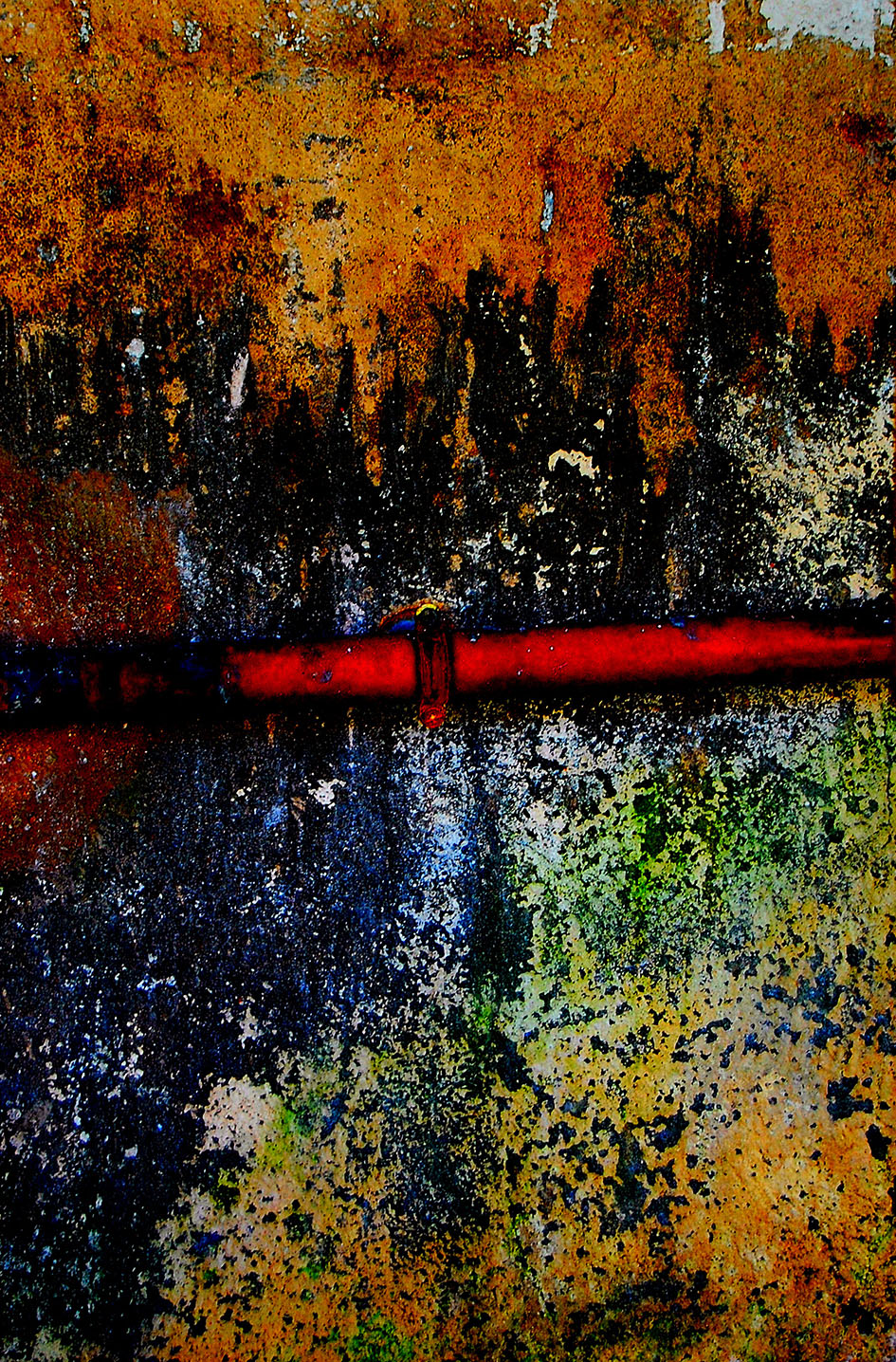2009 chez delevo vii nature morte