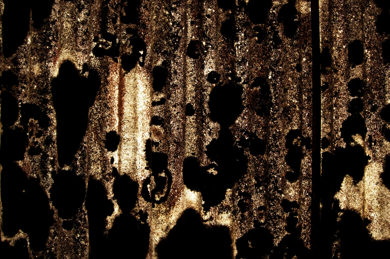 2012 vies de lac cartographie
