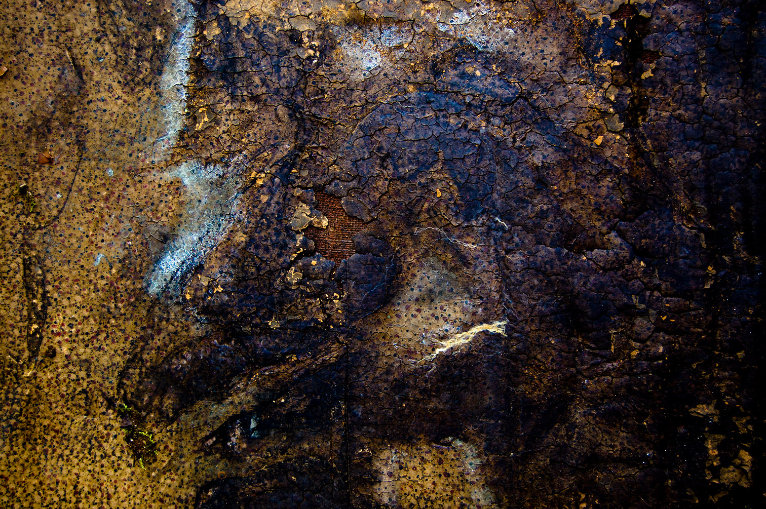 2011 terres forain cartographie