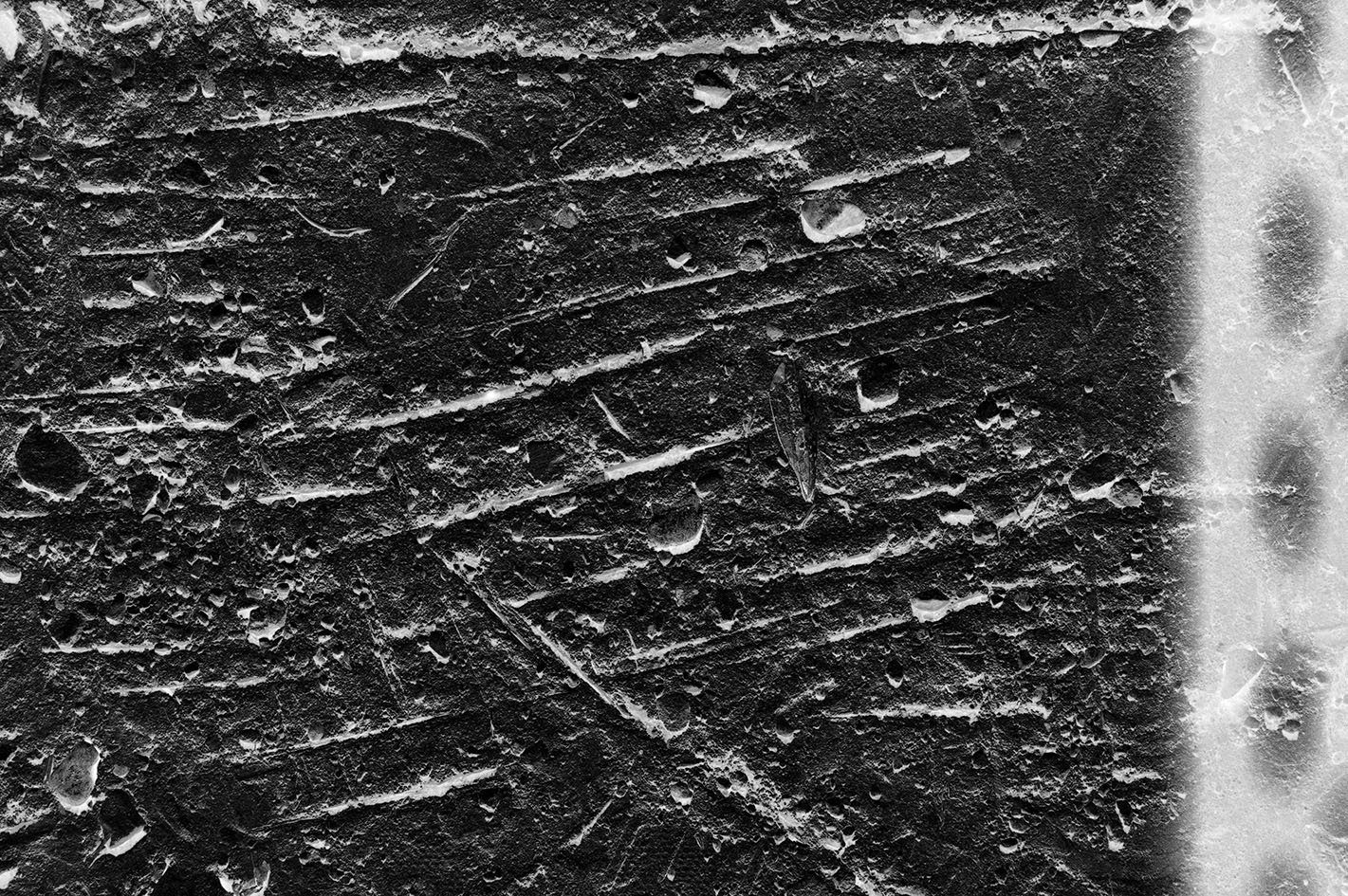 2021 rythme pelli cartographie