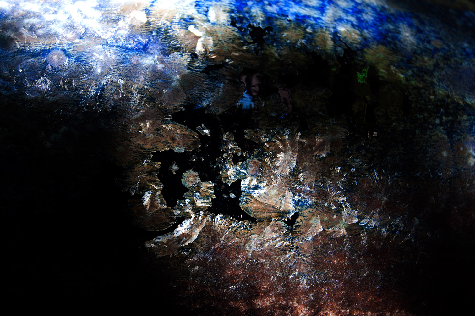 2012 terranova archive