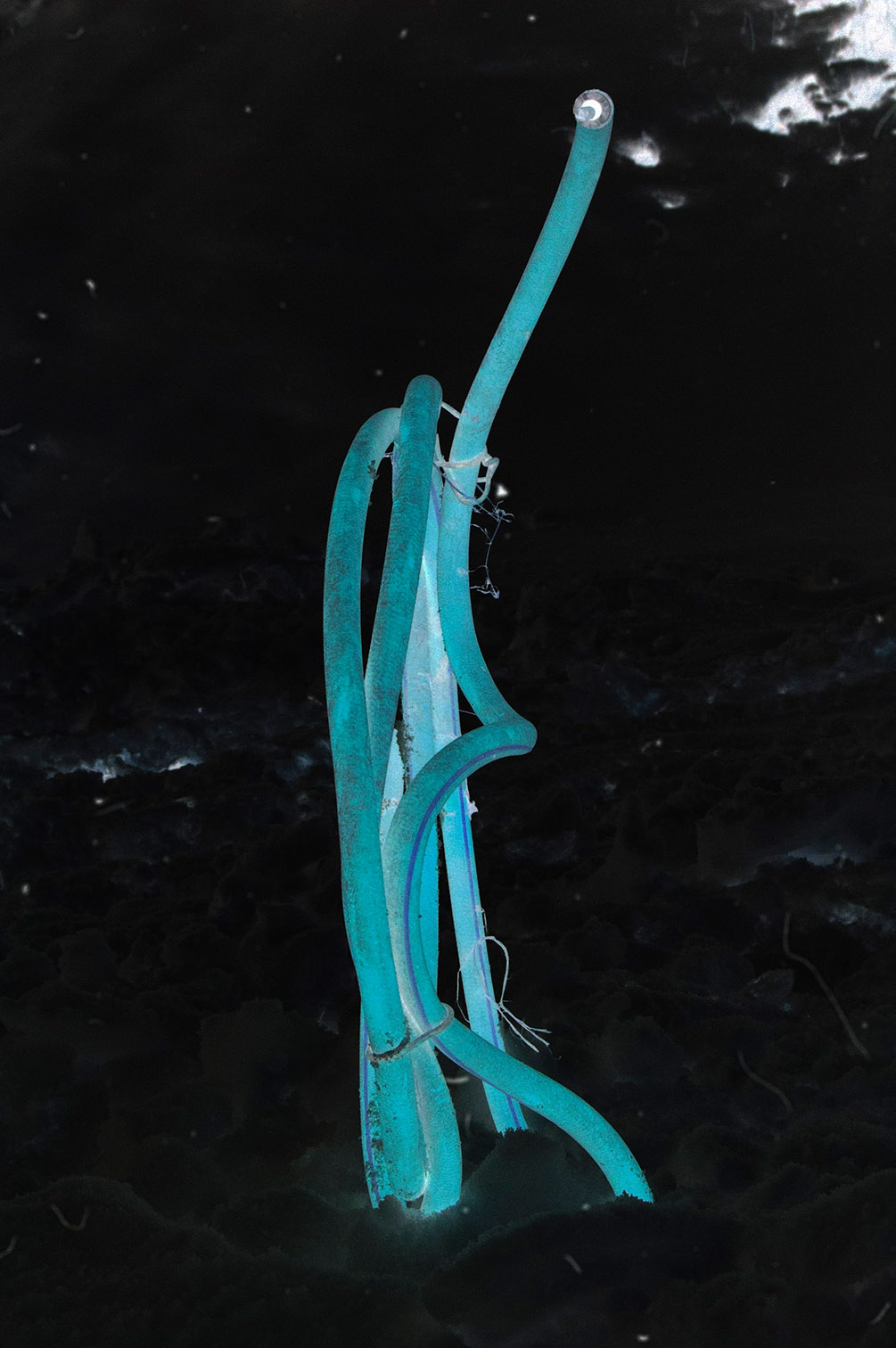 2015 azure dresse