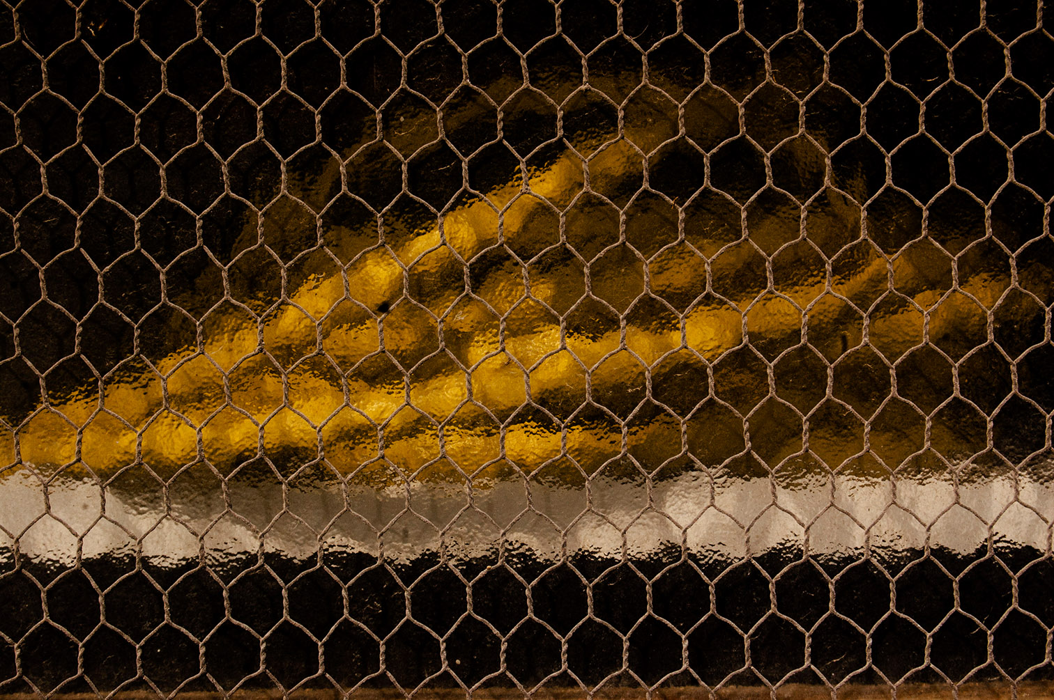 2013 nature impalpable morte
