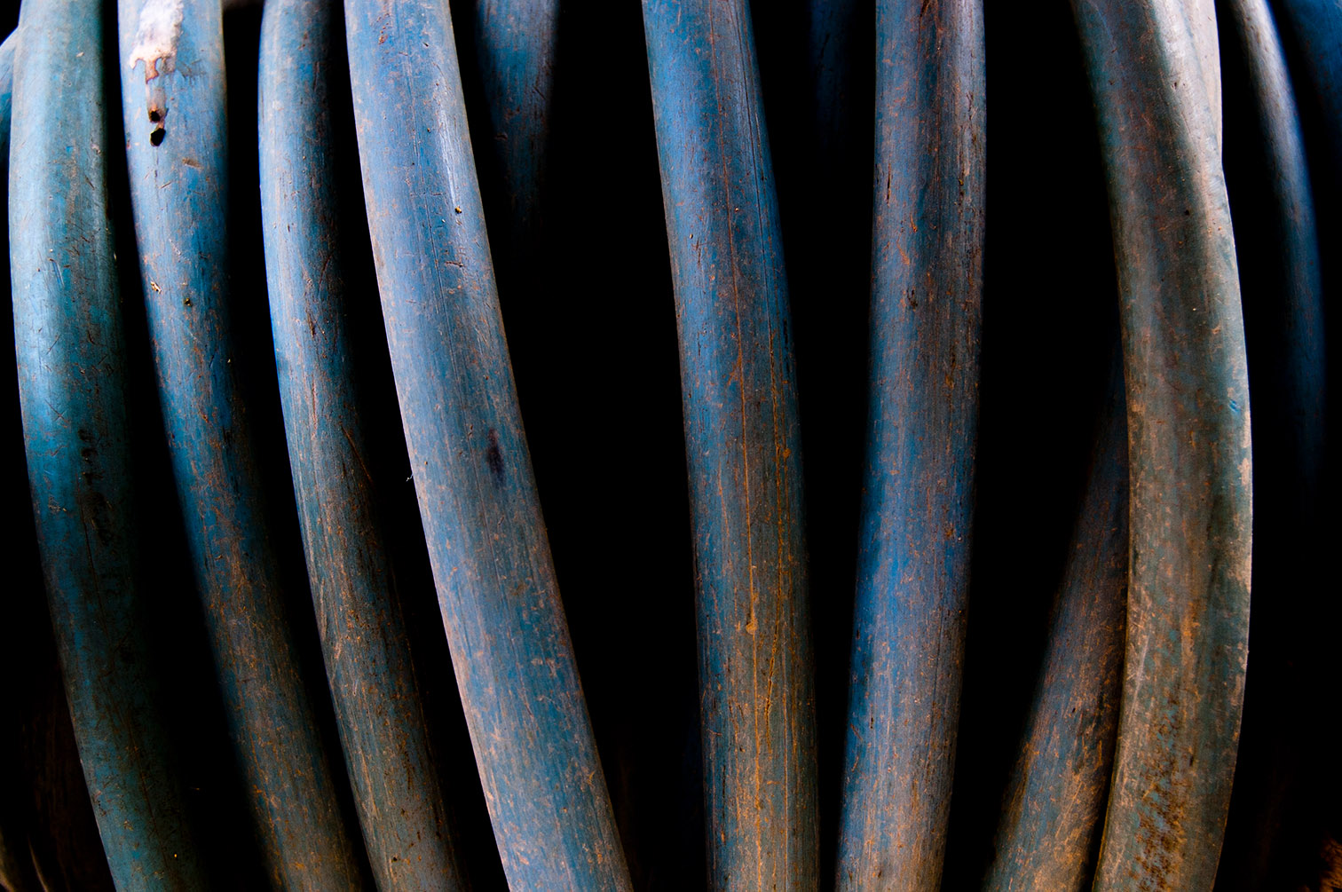 2011 impalpable arboricole