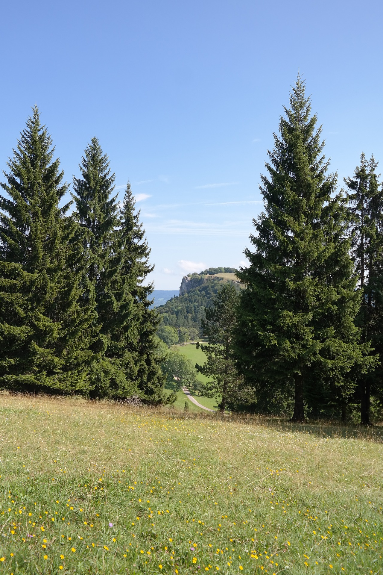 Idyll 200437 1920