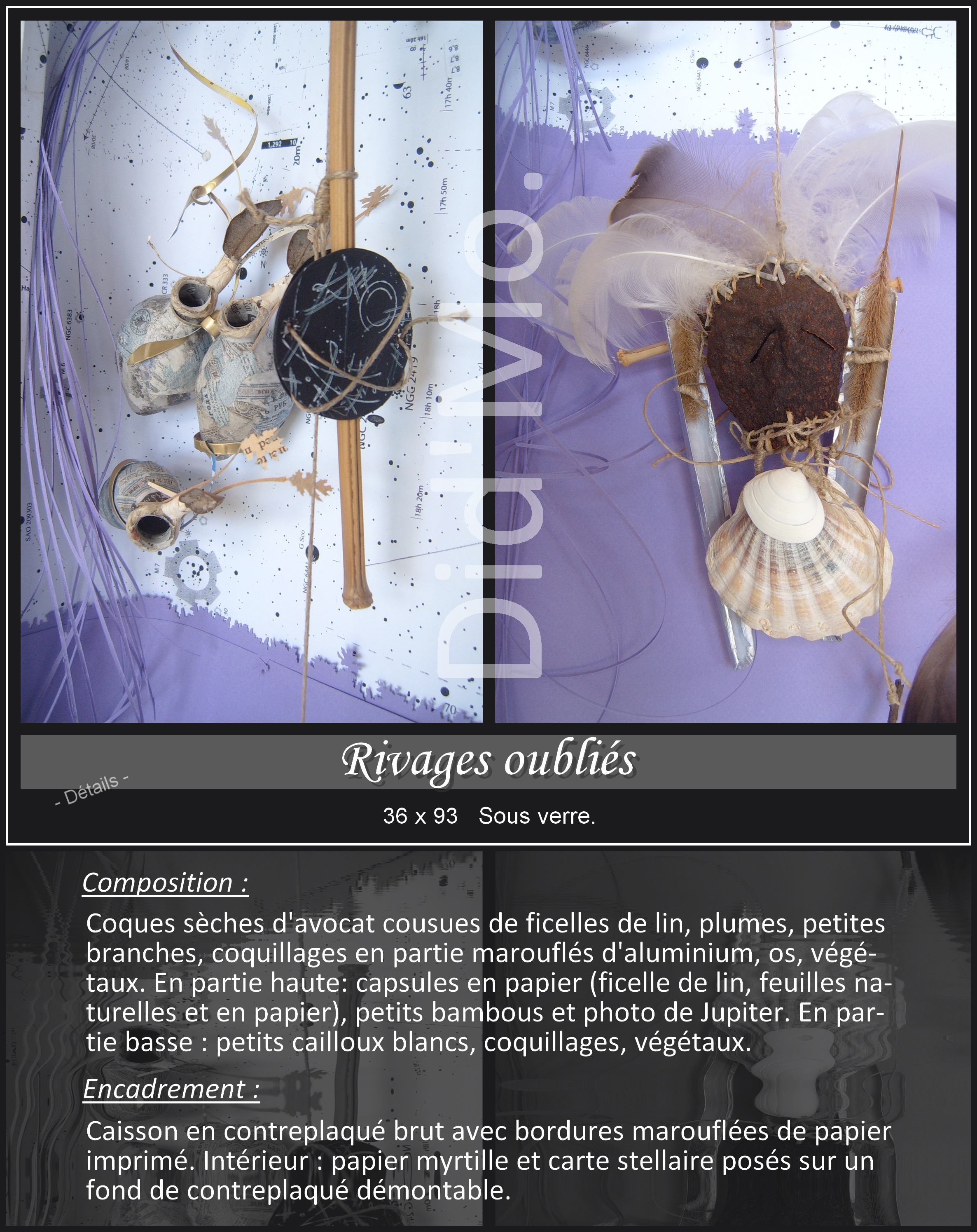 Rivages-oublies