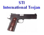STI-International-dvc-liste