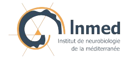 Inmed logo