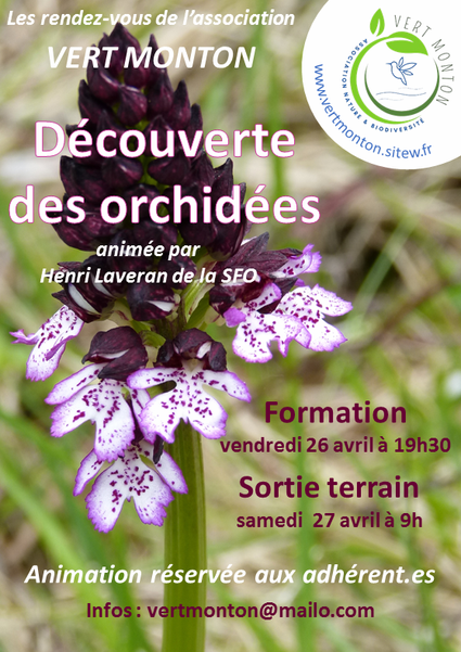 Flyer-Orchidees-2404-V4