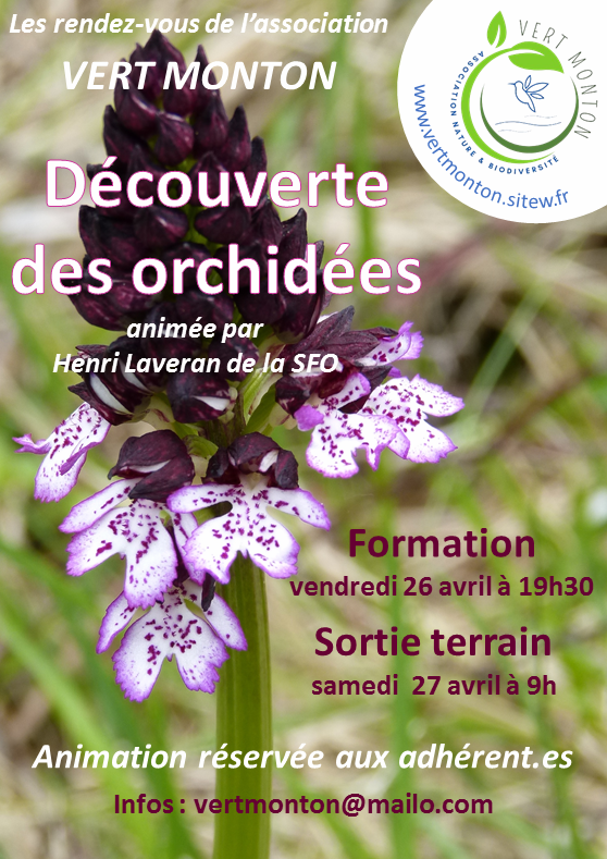 Flyer orchidees 2404 v4