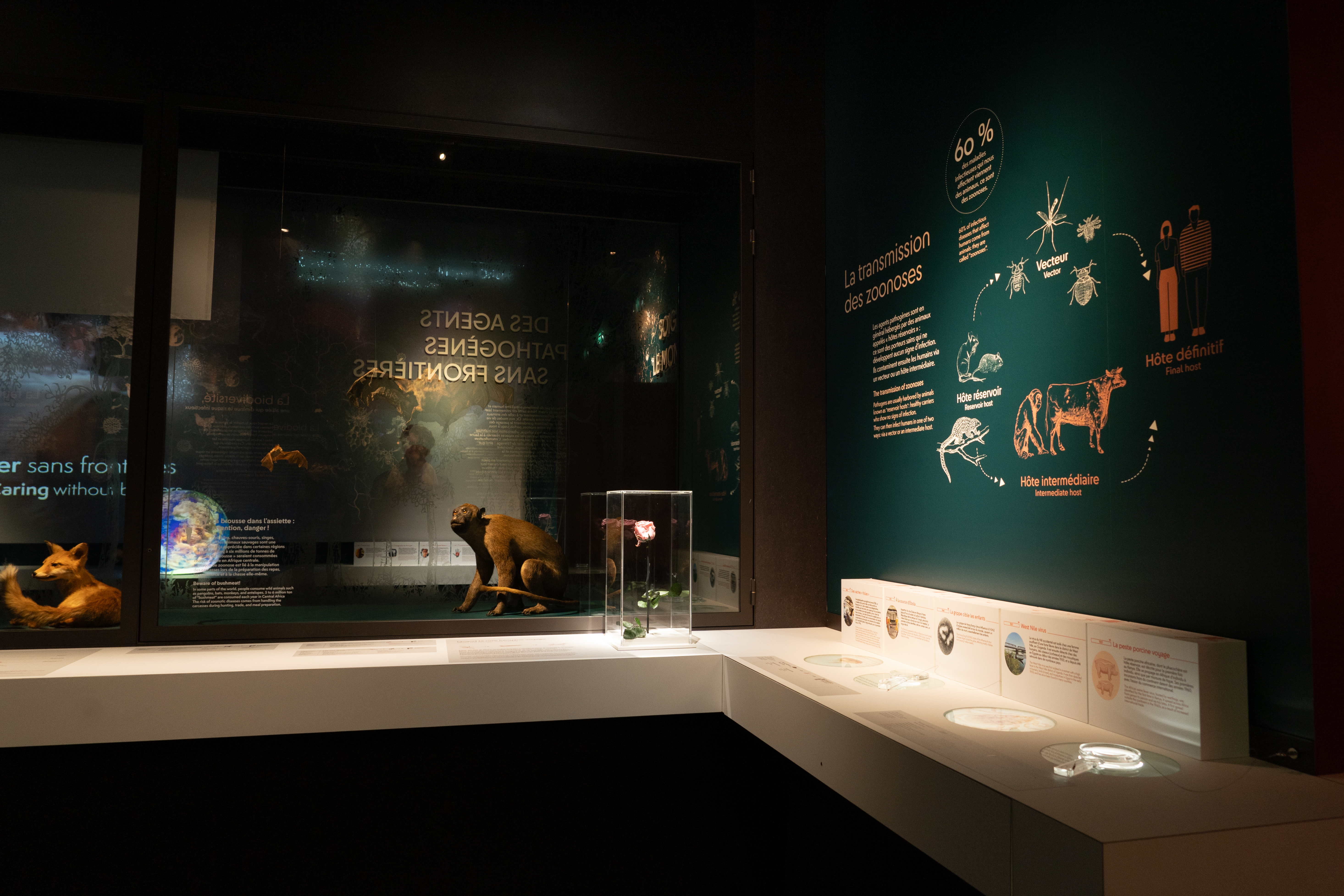 Musee interieur 10  briac durand