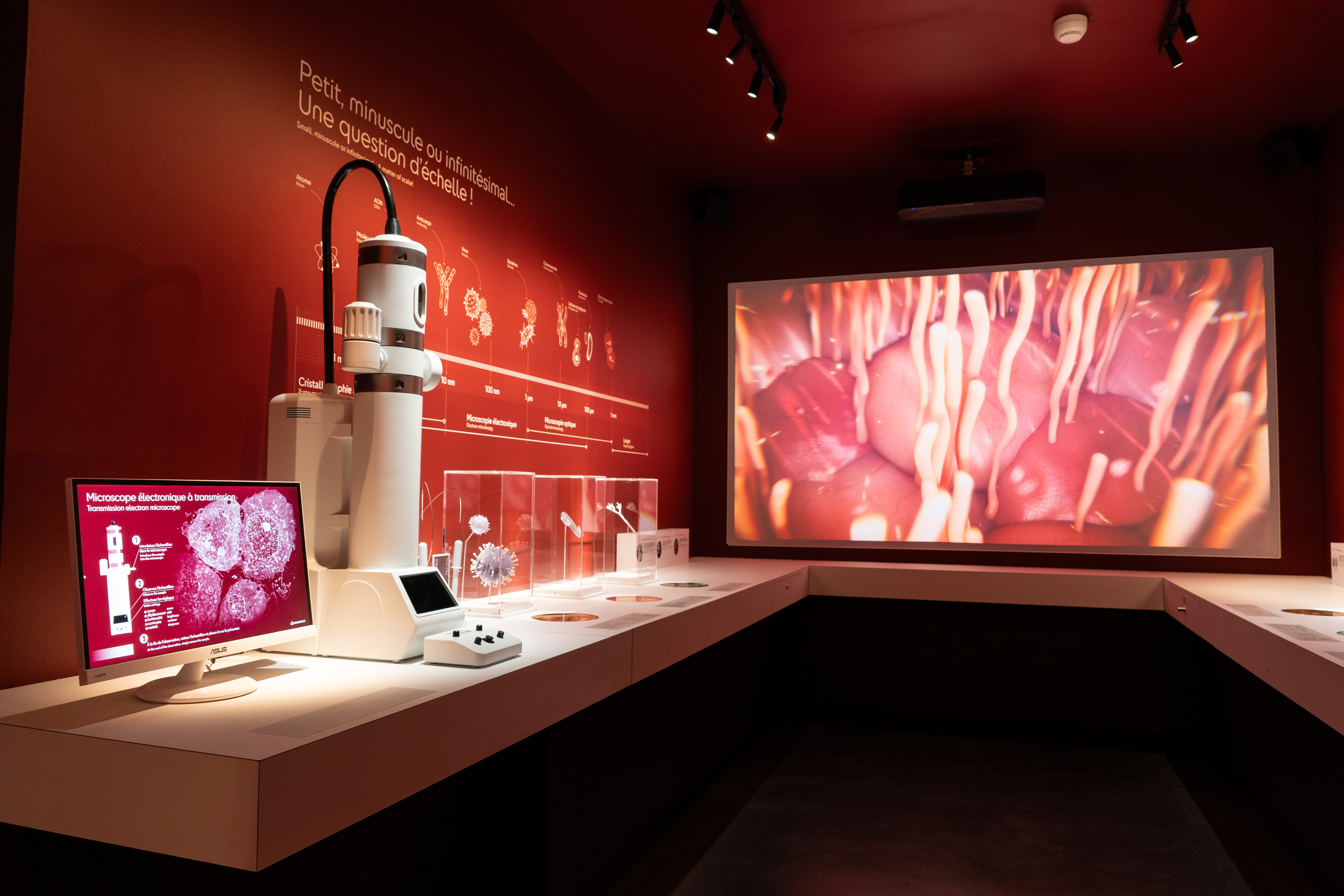 Musee interieur 6  briac durand