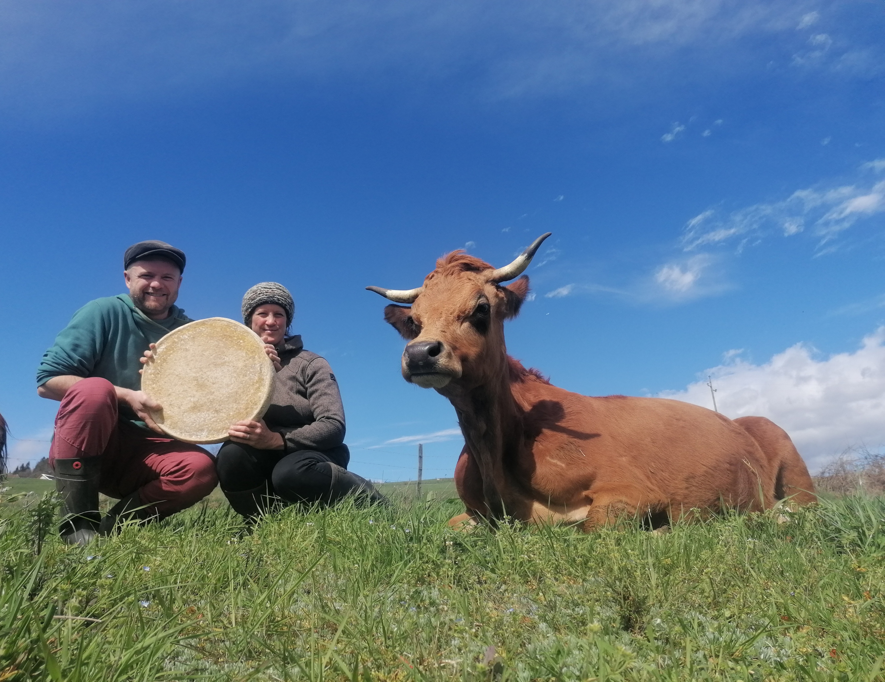 IMG 20240331 131845 edit 762909741247127 resized 20240502 092842758