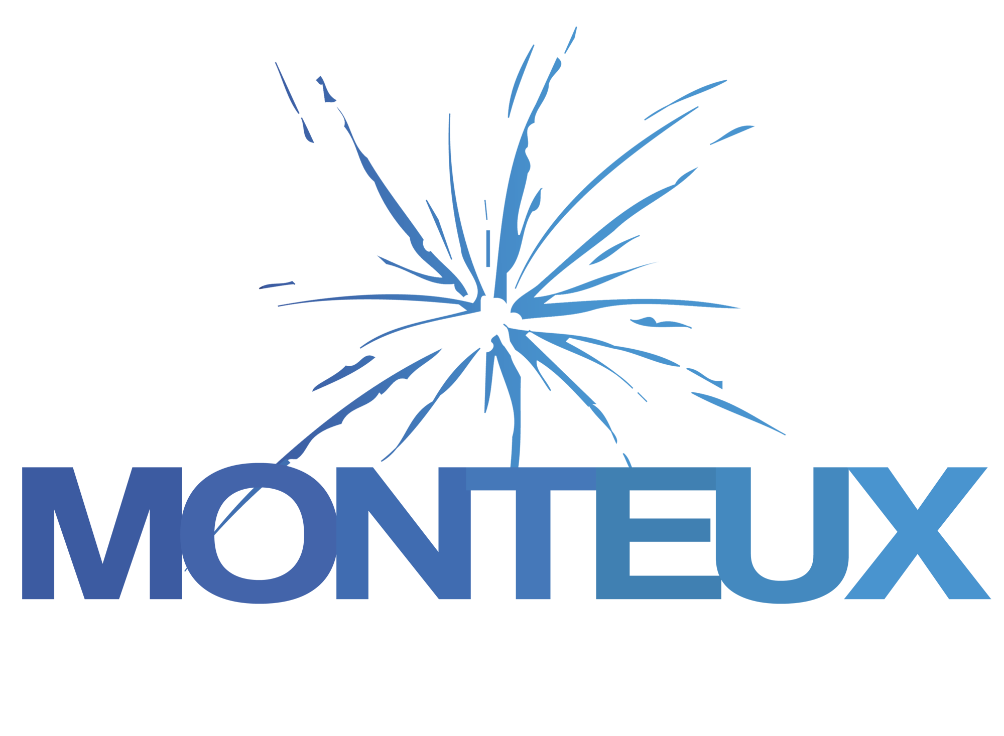 Logo bleu degrade