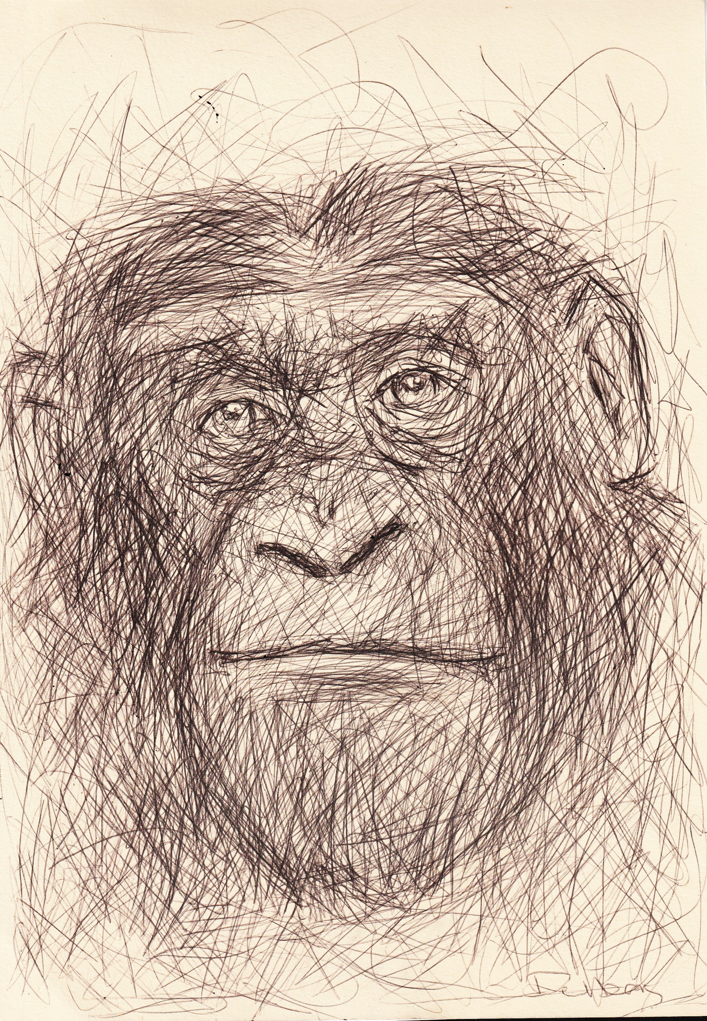 Dessin 2023 singe 1