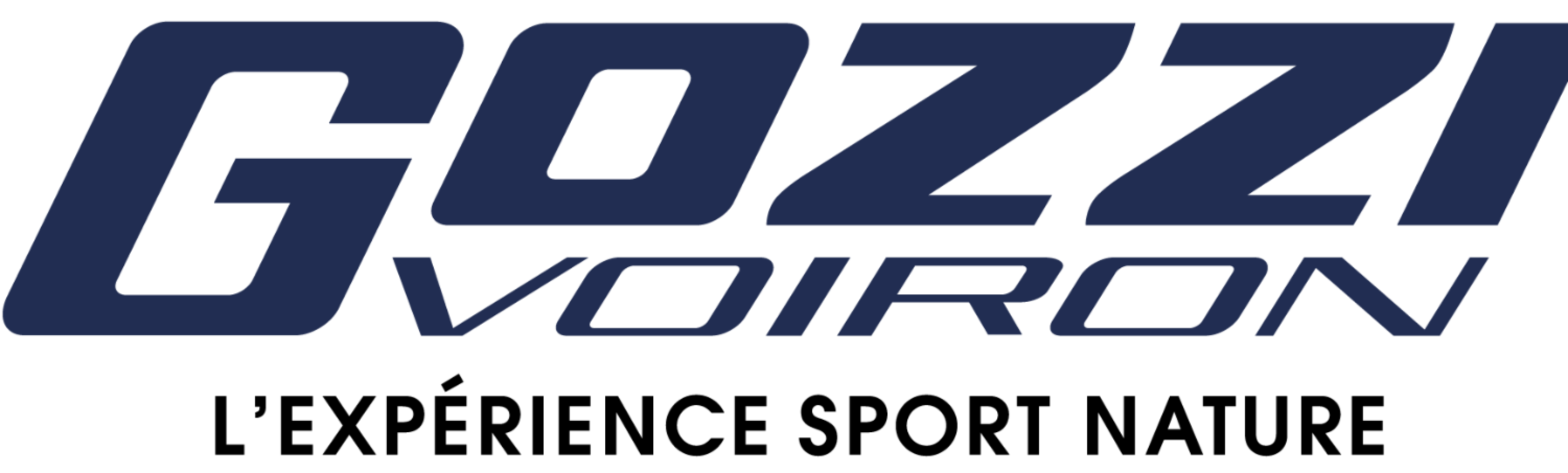 Logo-gozzi-Fichier-6 300x edited edited