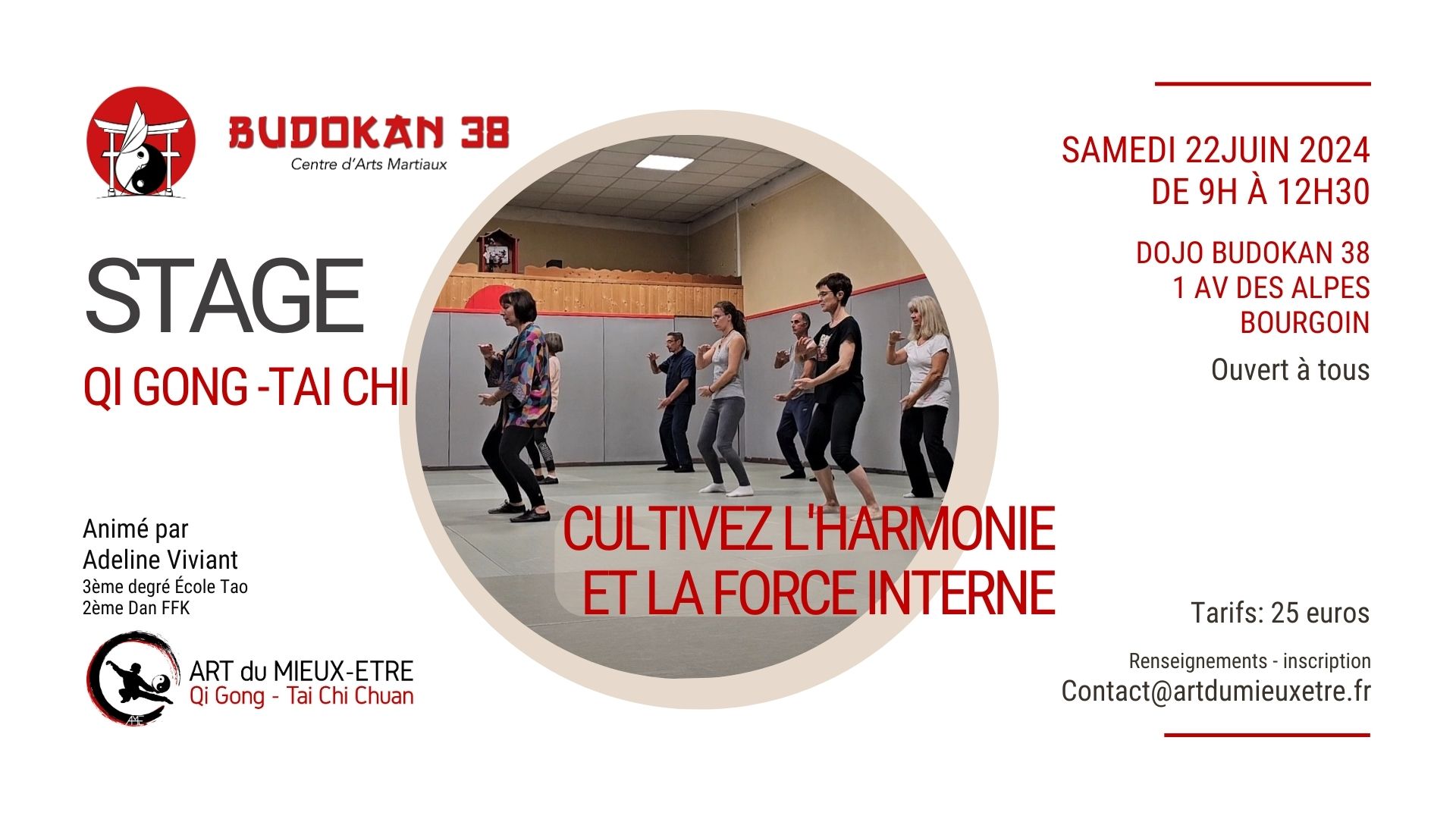 Stage de Qi Gong - Tai Chi à Bourgoin : Cultiver l'Harmonie et la Force Interne