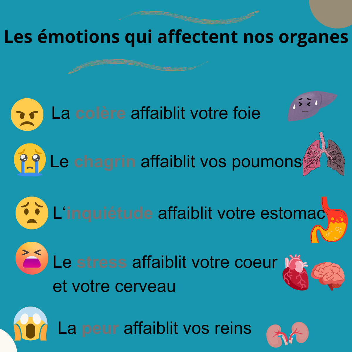 Les émotions qui affectent nos organes : 🧠💔👀