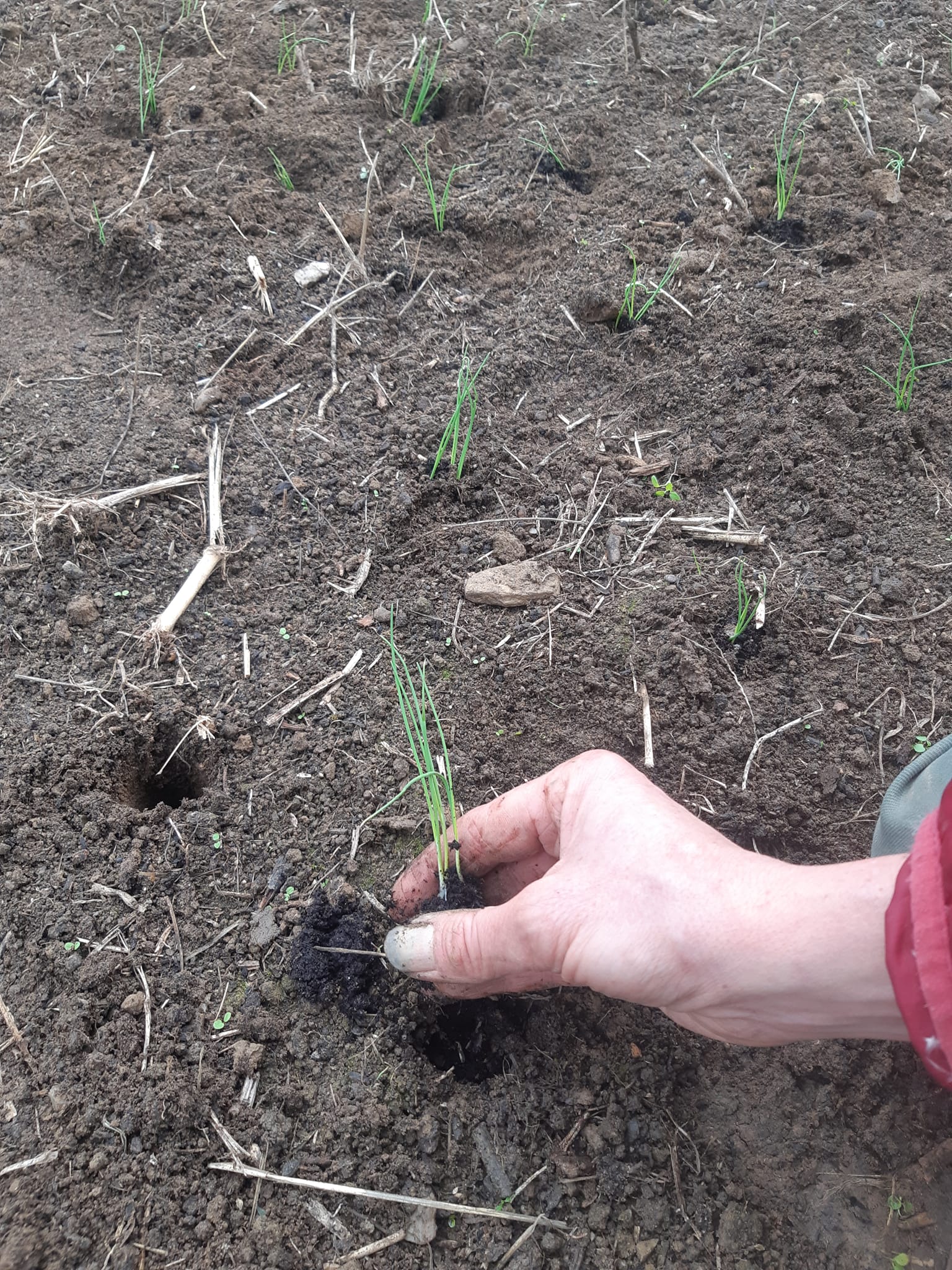 417432365 1073901816970422 1872559045722569200 n