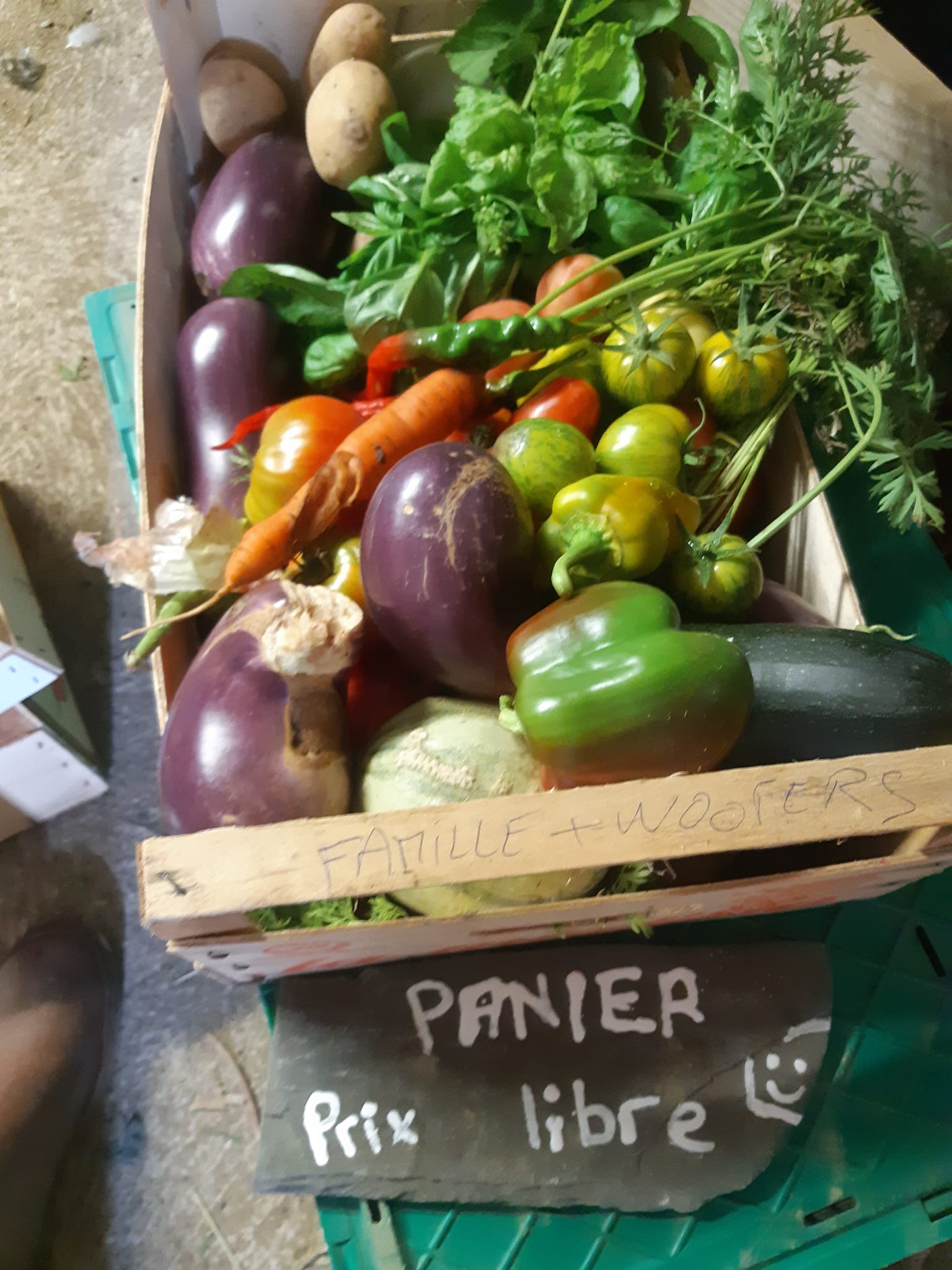 374268486 1010164800010791 2423581905356304218 n 1 