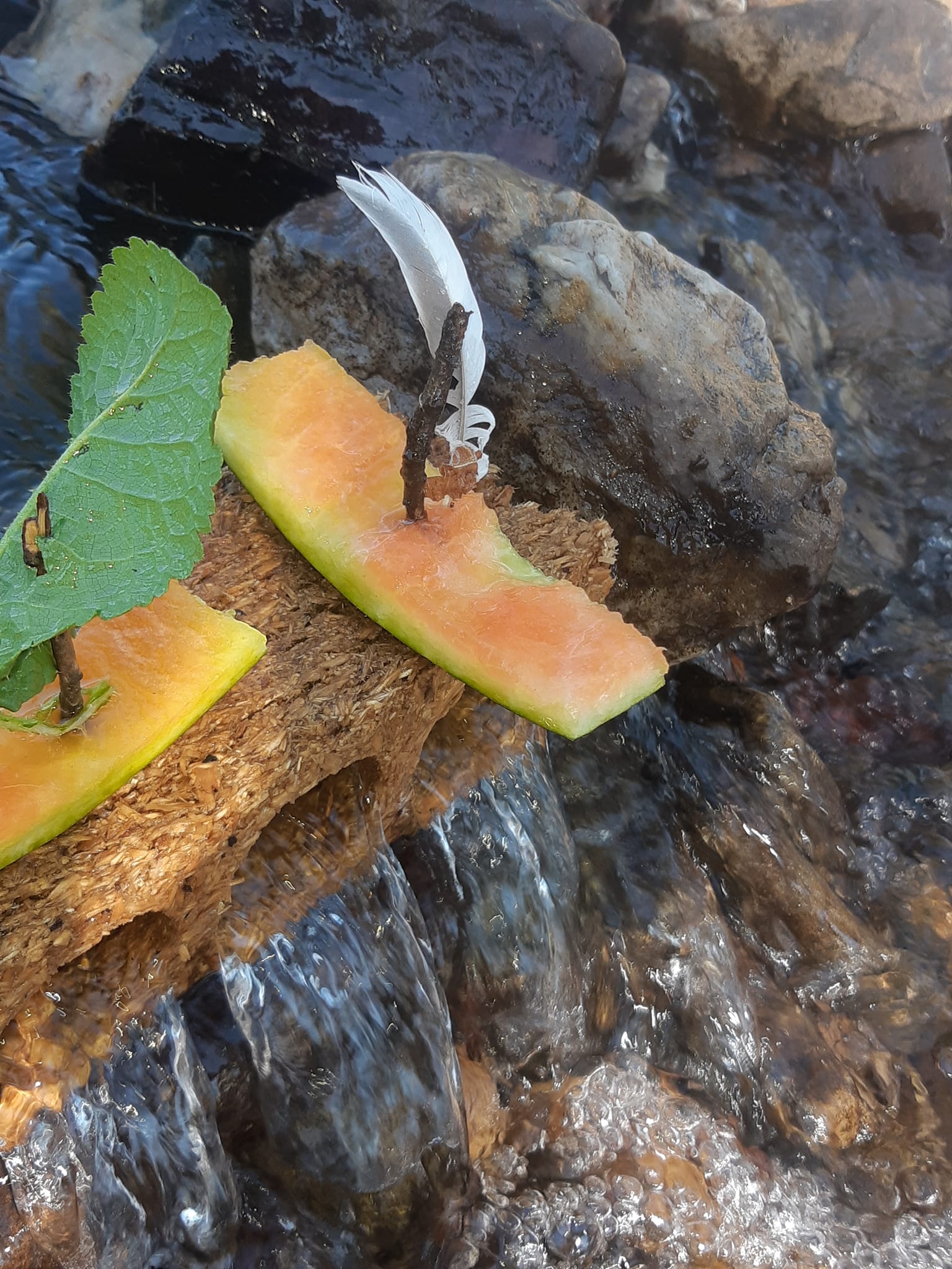 369606126 1003282367365701 3369341194695441150 n