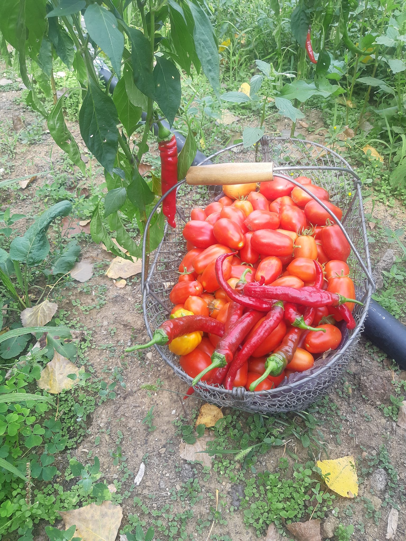 368011109 1000875920939679 6222860951989003584 n