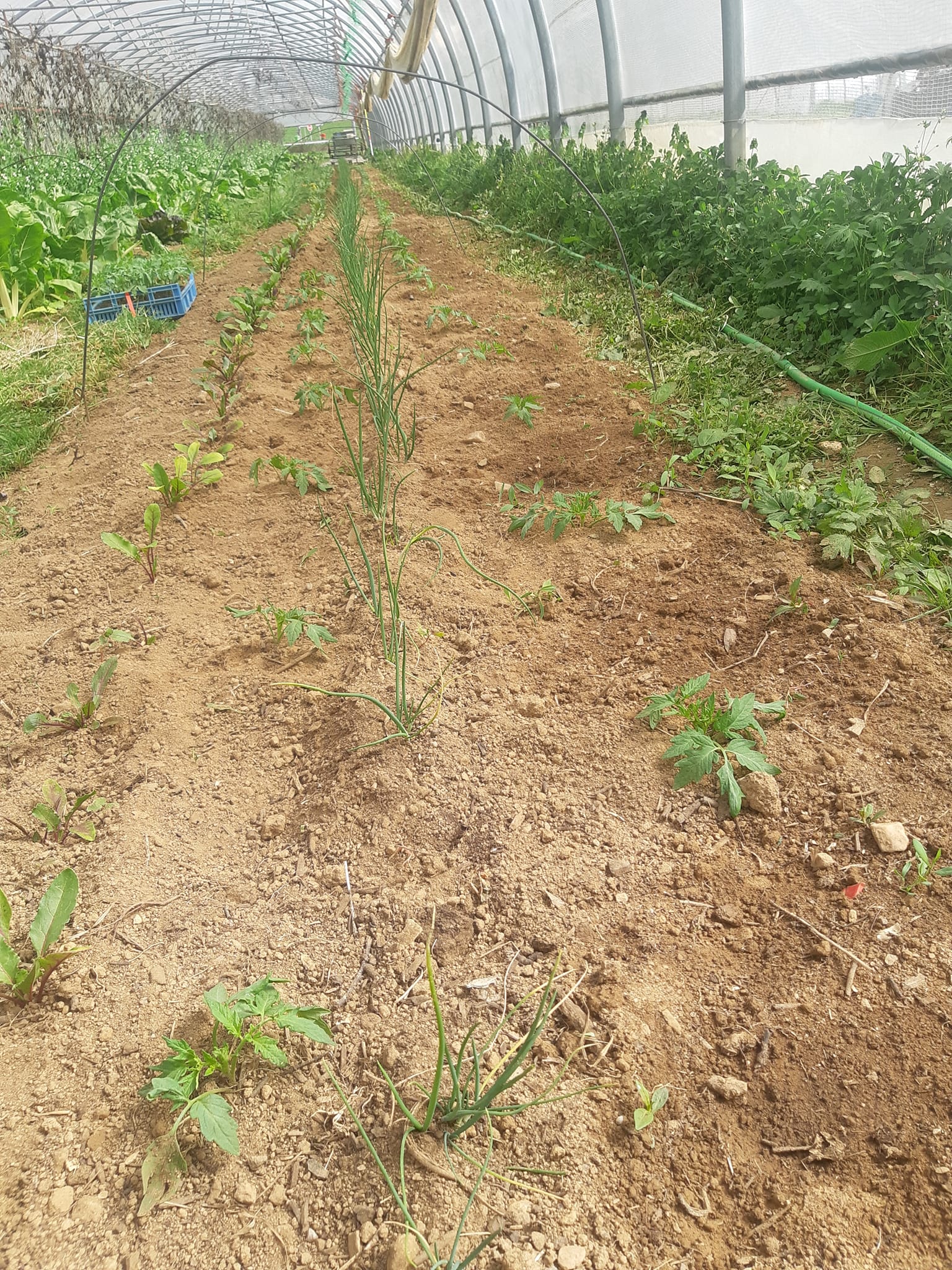 340964724 776213874216859 1876383234226722636 n